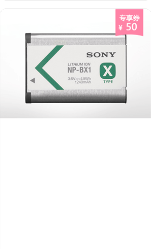 <span style="color:#068928">NP-BX1<br>可重復(fù)充電電池</span>