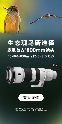 生態(tài)觀(guān)鳥(niǎo)新選擇 索尼首支800mm鏡頭
