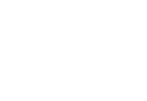 FE 400-800mm F6.3-8 G OSS