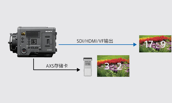 CineAltaV 2的輸出方式示意圖