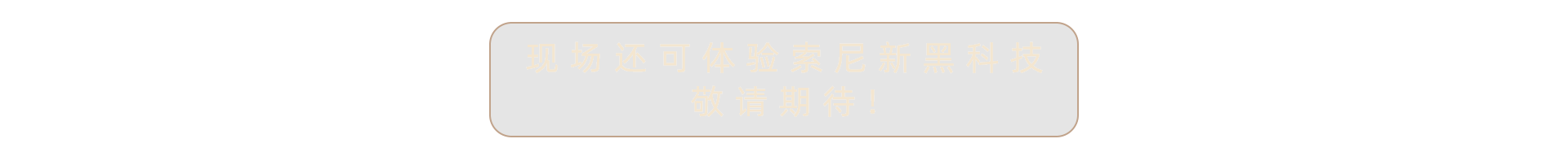 索尼電視&家庭影院系列產(chǎn)品亮相AWE2025