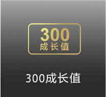 獎品4