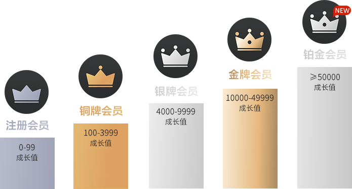 會員等級的劃分